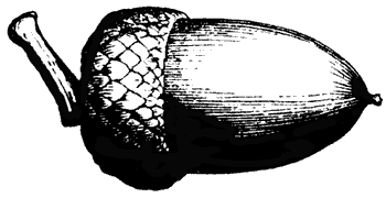 academic family tree: Chomsky, Leipniz, Ockham, oh my!